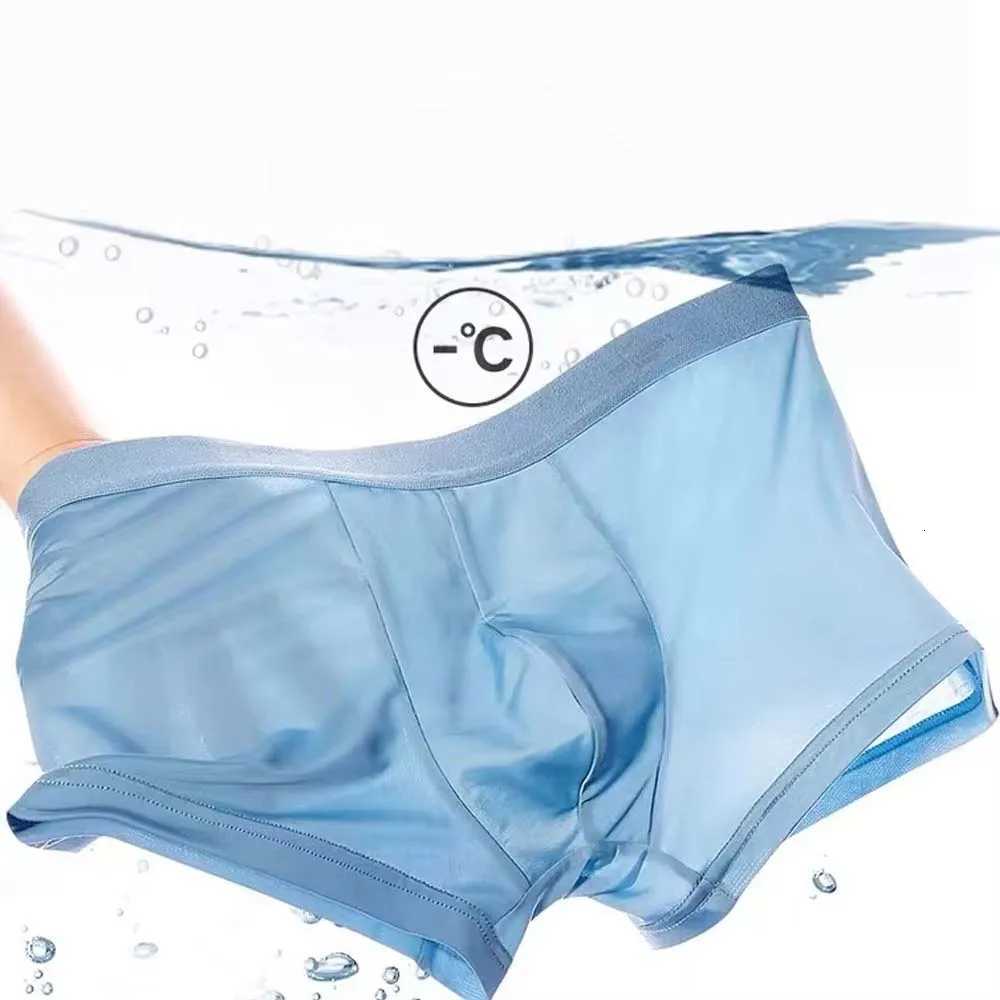 Summer Man Underwear Underpants 5Pcs Thin Ice Silk Men's Briefs Breathable Soft Touch Men's Clothes 3D Cutting U Pouch Design Boxer Men D2
