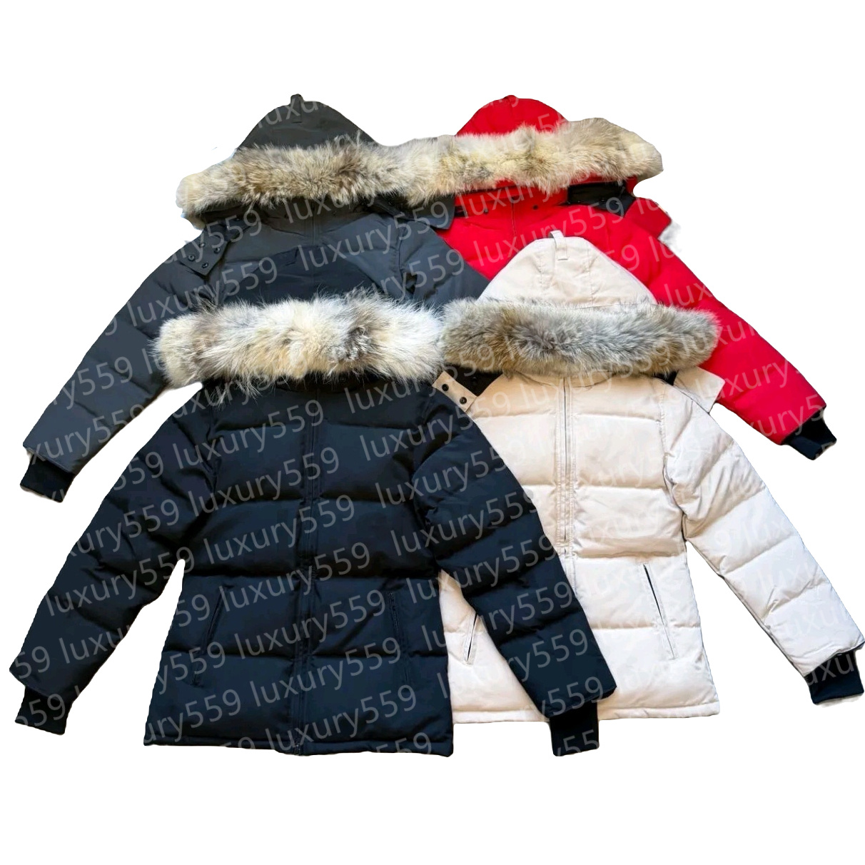 designer veste vers le bas designer femmes pull hiver automne top qualité à manches longues à capuche fermeture éclair classique de luxe parka de