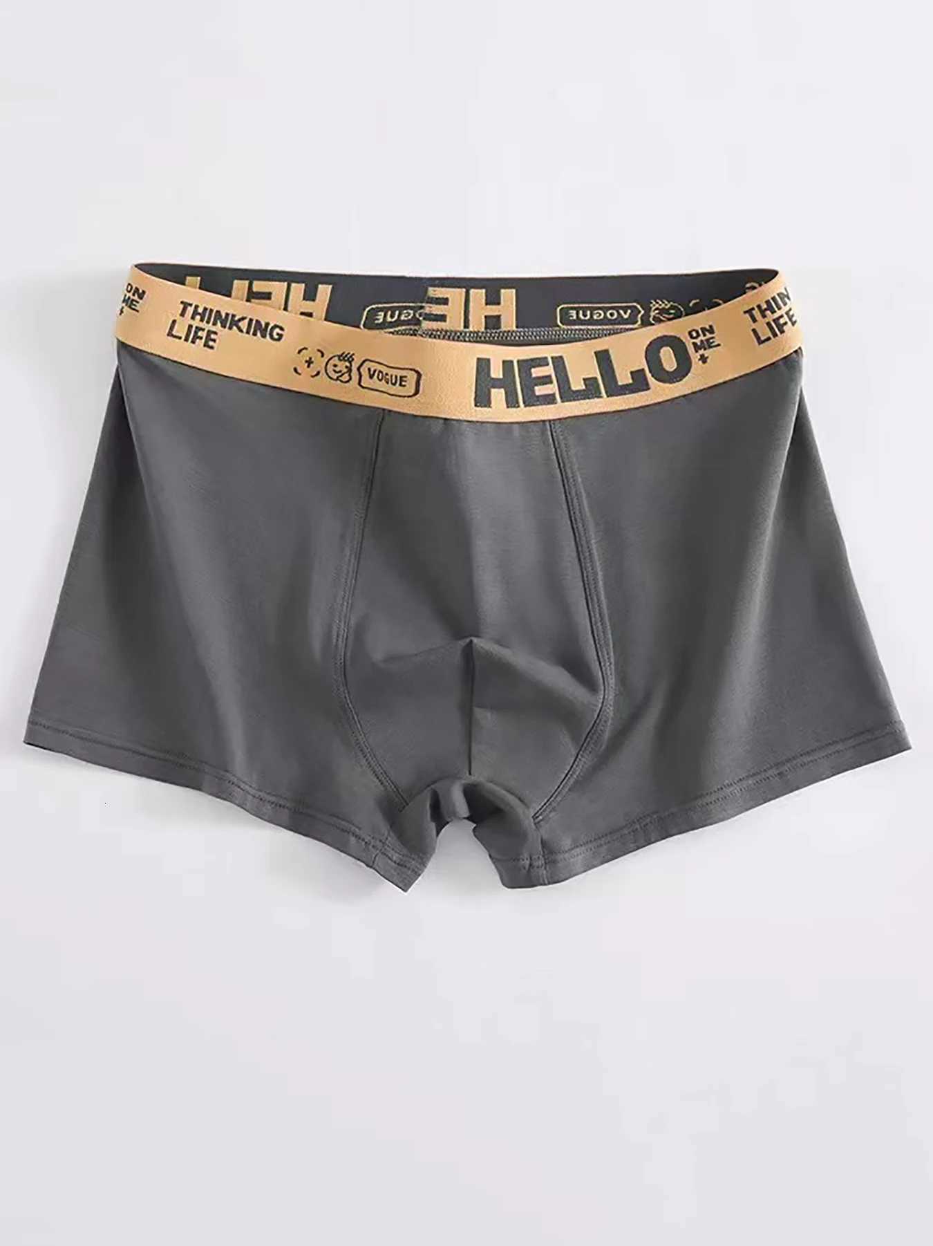 Cotton Underpants 4-Pack Boxer Men's Briefs - HELLO Waistband Soft Breathable Stylish Durable D2609181
