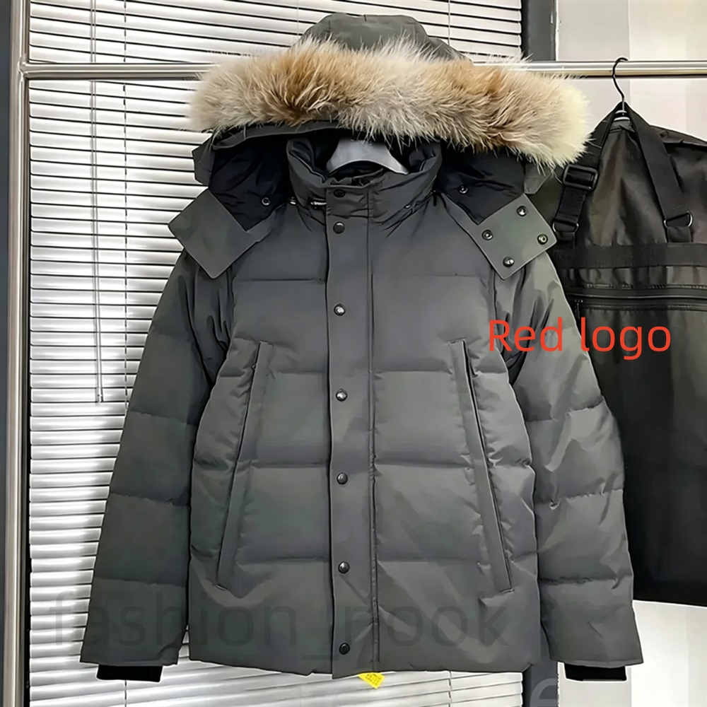 jacket puffer jacket men winter jacket women doudoune jacket homme goose down jackets wolf Fur hooded mens puffer thickened jacket coat warm puff ja