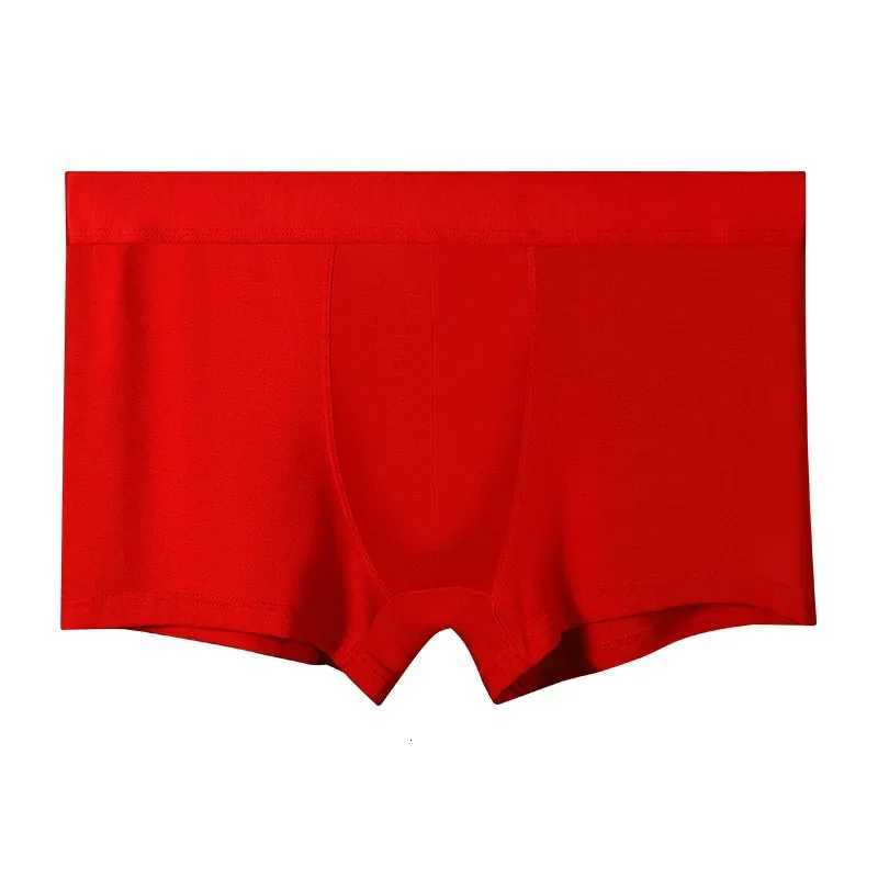 men's Men's underwear Underpants 5PCS briefs all-cotton gifts for the Year of the Rabbit bright red wedding thin four-cornered trousers D2