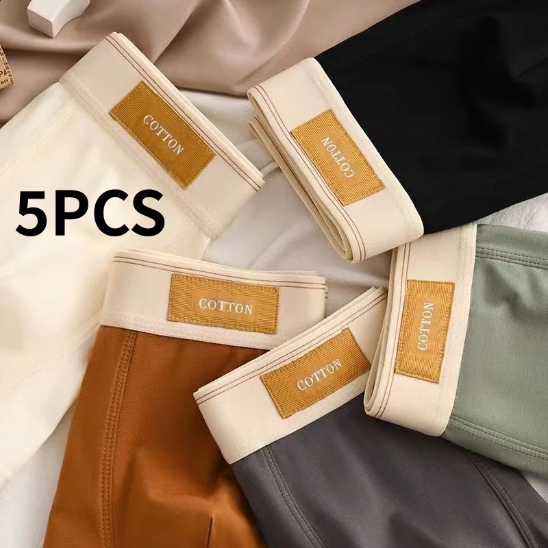 5Pcs Mens Underwear Man Panties Comfortable Breathable Antibacterial Pure Cotton Sexy Fashion Boxer Shorts 260920