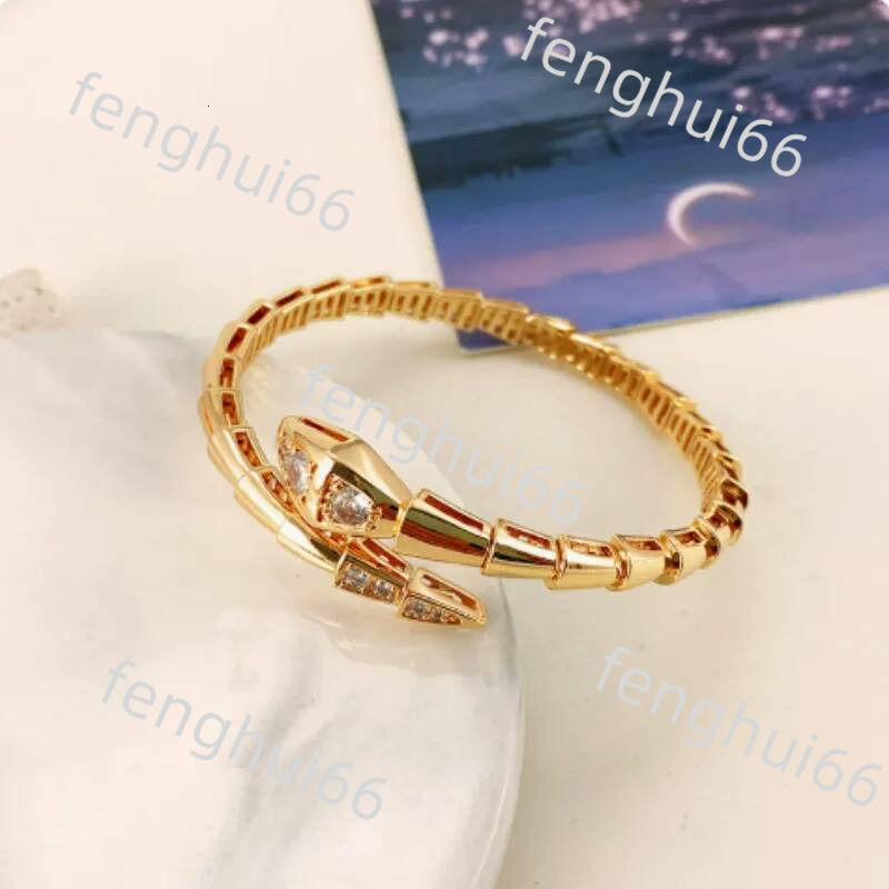 Designer Full Bone Spring Smooth Body Bvl Elastic Snake Shaped Opening Diamond Encrusted Bracelet For Ladies 9A1