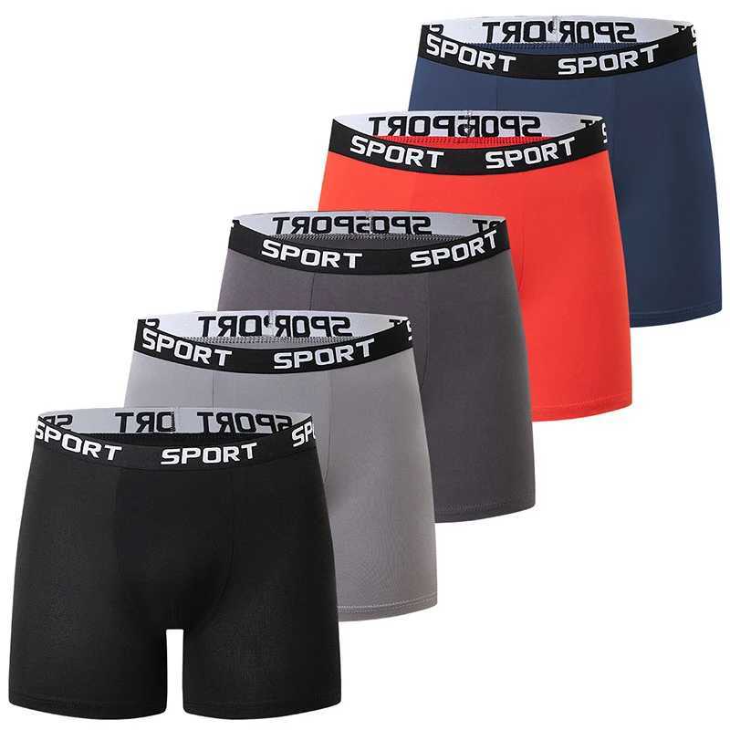 5-piece Set Of Solid Color Fashionable Simple Sports Long Underwear Comfortable Plus Size Flat Corner Pants Cycling Base Shorts Q260921