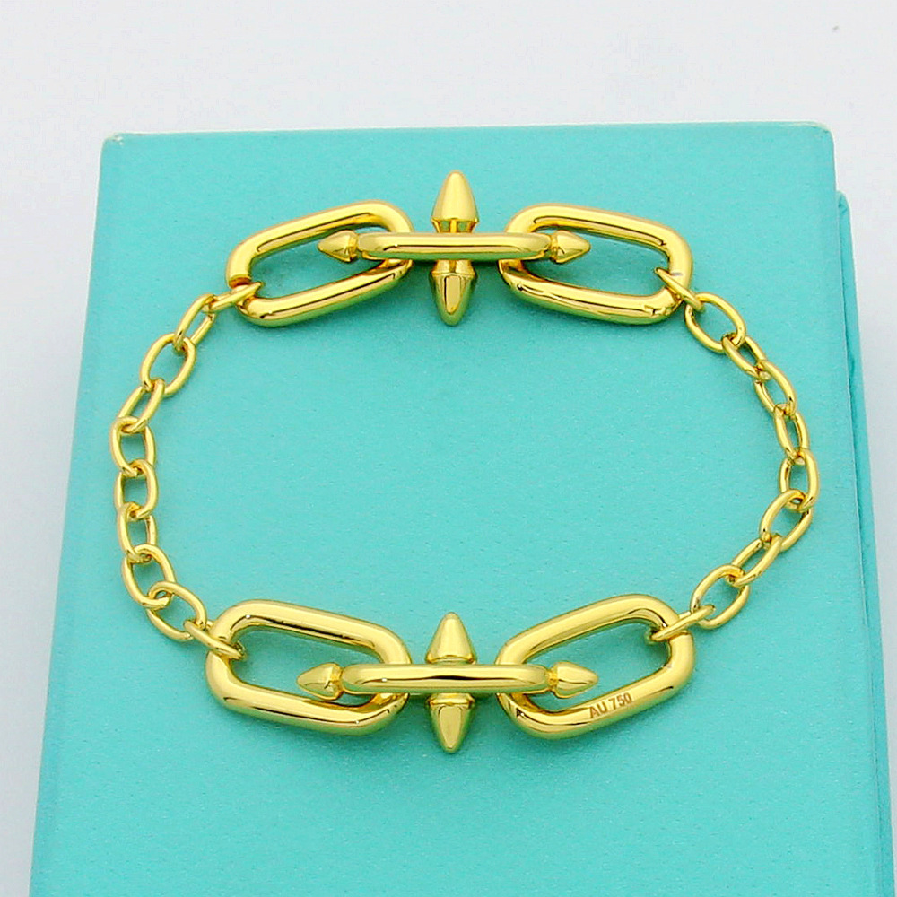New Style Jewelry Designer Bracelets 2026 trends Brand Fashion Designer Jewelry Classic Bangle 925silver Plated Womens Jewelry Designer Necklace Bra
