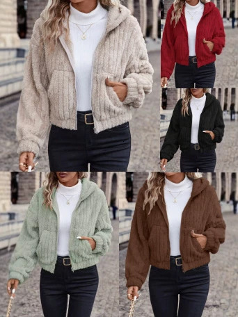 Free Shipping European American Cross-Border Autumn And Winter New Double-Sided Plush Pocket Zip-Up Hooded Cardigan Loose Top Jacket For Women Spide