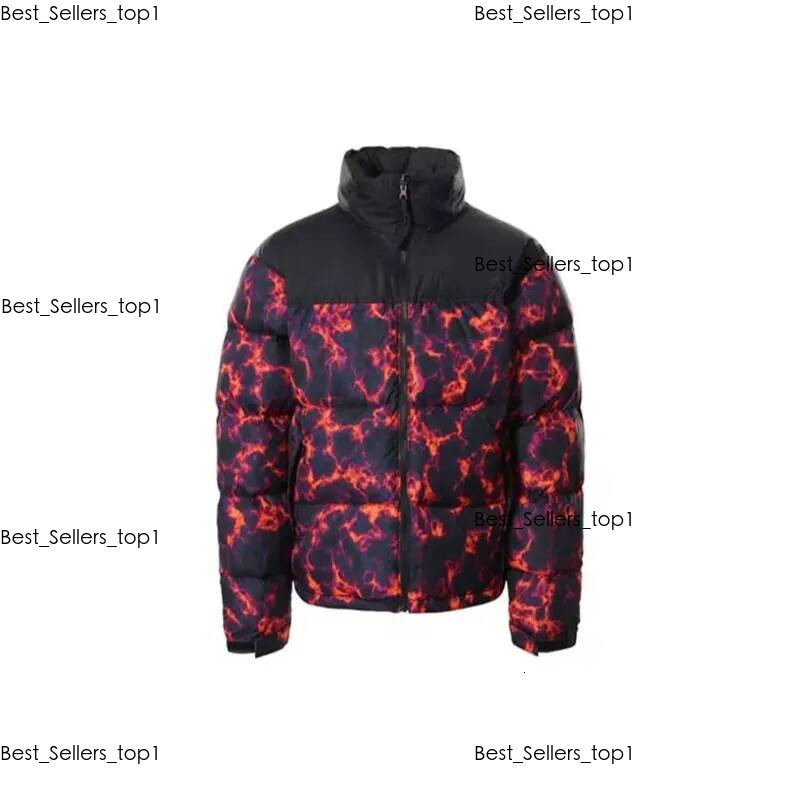 Designer Northess Face Men Parka Coat Top Couples Classic Winter Northss Down Jacket Outdoor Northism Face700 Puffer Jacket Windproof Clip bfa