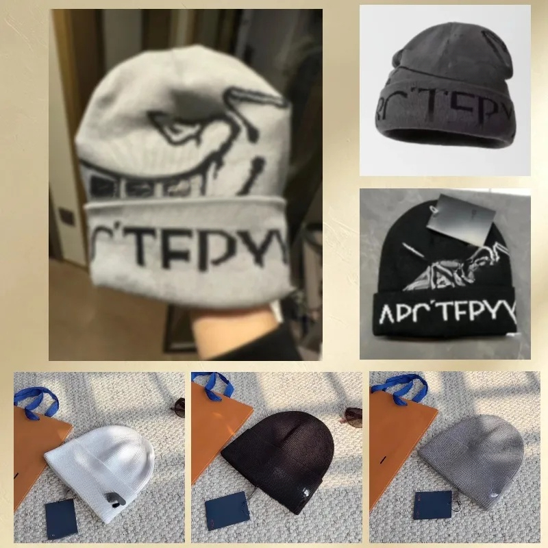 hot 2027 new Women Men Classic designer wool luxury cashmere hat embroidered ancient bird pattern street fashion brand arc beanie autumn and wint