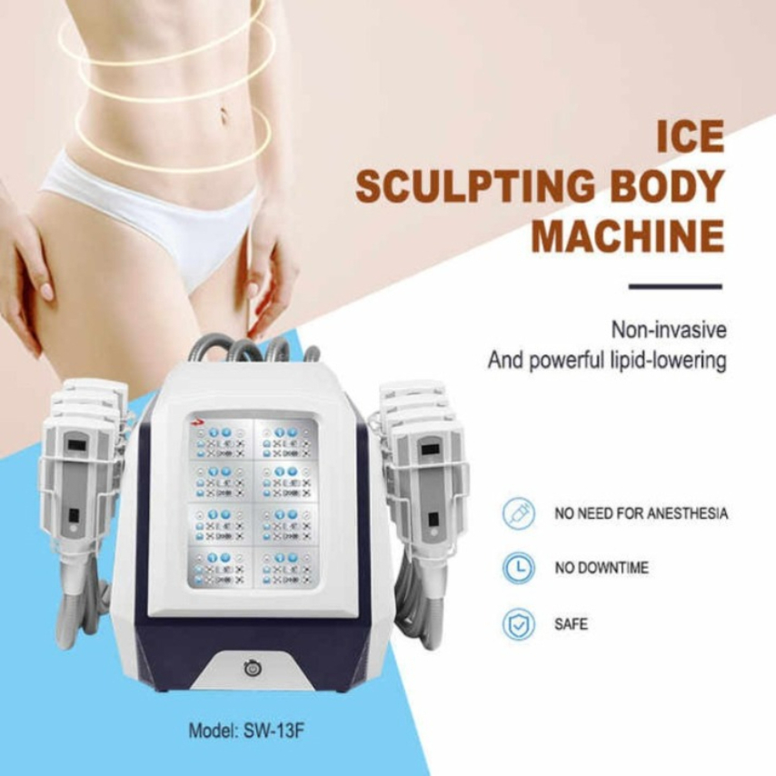 Portable 8 Cryo Pads Body Sculpting Machine Non Invasive Fat Freezing Cryolipolysis Slimming Equipment 8 Handles Cellulite Reduction268.4 24