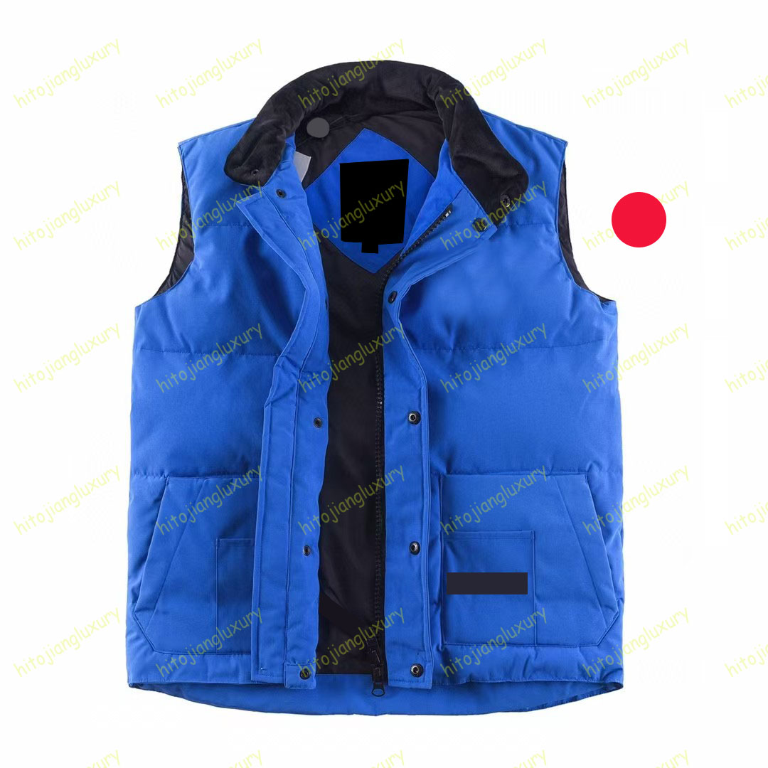 Womens Puffer Vest Designer Vest Gilet Mens Designer Jacket Stand Collar Zipper Buttons Letters Classic White Duck Down Winter Vest top Mens Vest Ja