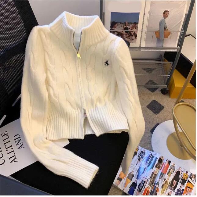Designer Sweaters for Women, Womens Oversized Pullover Sweaters: Women's Turtleneck Knit Cardigan with Delicate Embroidery - Autumn Long Sleeve