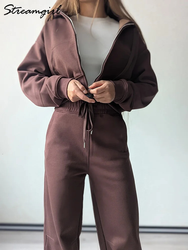 Winter Fleece Pants Set Women Brown Tracksuit Two Pieces Long Sweatpants Zipper Sweatshirts 2 Piece Gray Sweatsuit For Women Set 260923