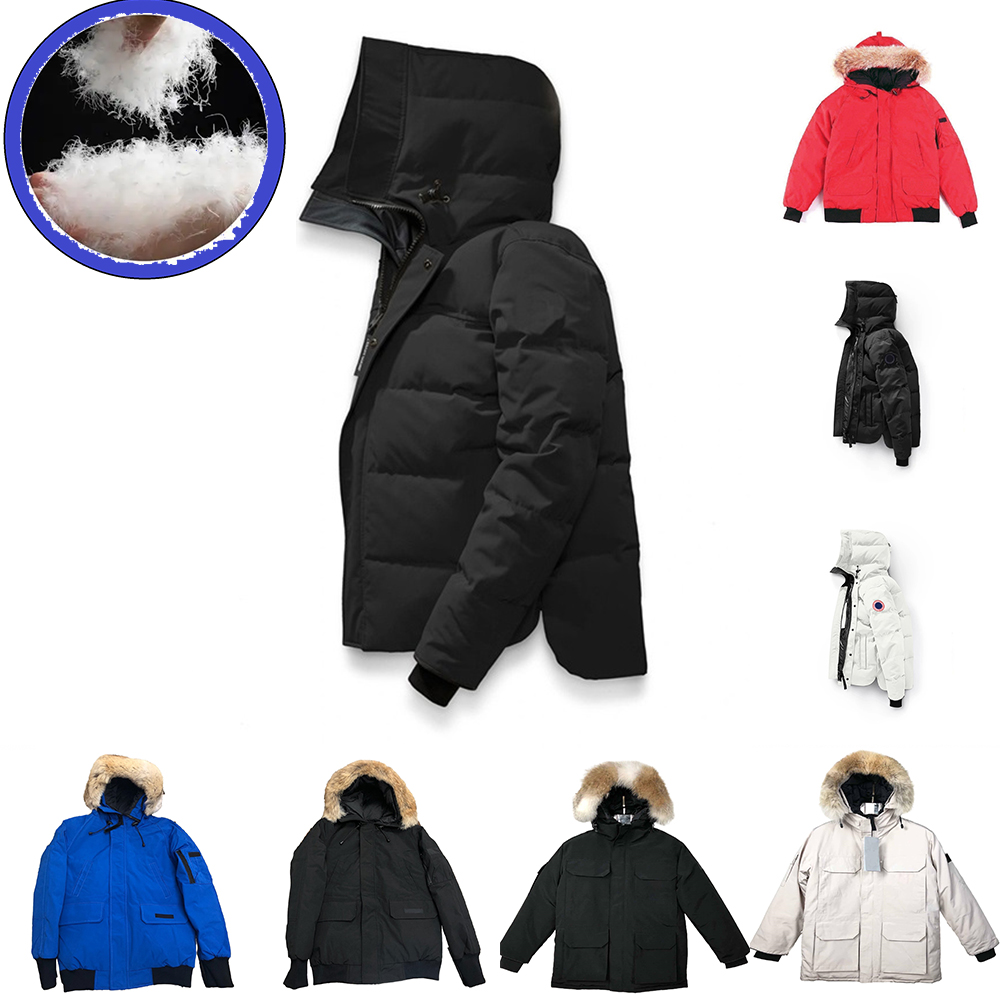 Mens Down Jacket Coats Coat outerwear puffer fur designer warm hooded windproof Coat Doudoune duckdown winter Thick clothes Outdoor Size S-2XL
