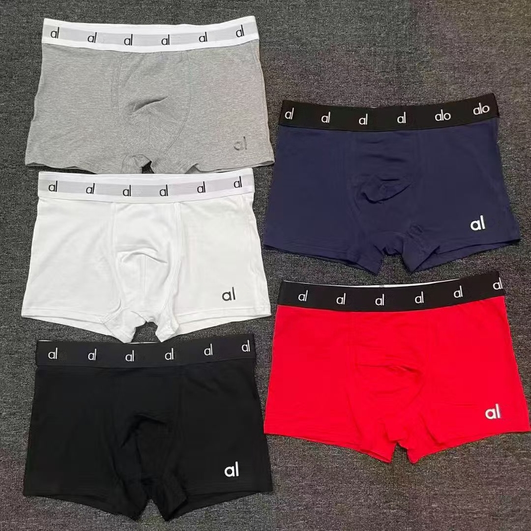 M-2XL Letter Designer Man Boxers Casual Underwear Mens Luxury Apparel Embroidery Underpants Male Fashion Boxers Cotton Briefs