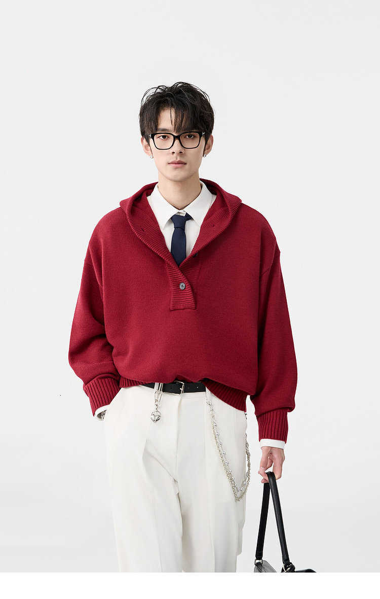 Men's Sweaters High-grade hooded cashmere sweater in spring and autumn 100% pure cashmere men's pullover loose sweater D260924