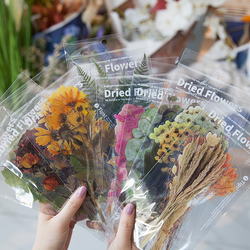 Autocollant pour compte à main en PET, série de magasin de fleurs du week-end, rétro, matériel végétal, décoration de collage, 6 pièces/ensemble