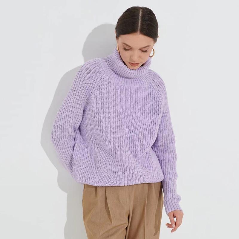 Pull en tricot torsadé à col roulé pour femme, manches longues, manches raglan, ample, surdimensionné, silhouette épaisse, tissu tricoté texturé,