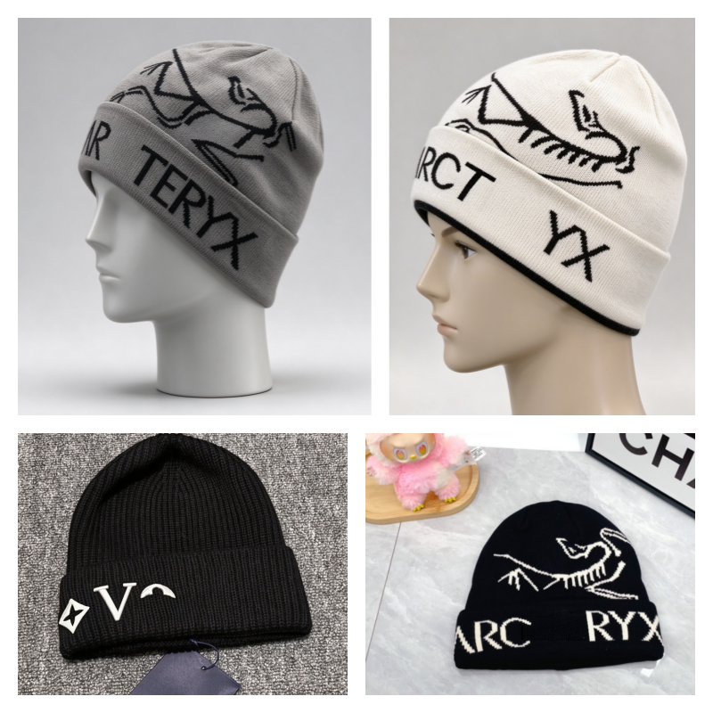 winter hat Classic beanie designer wool hat luxury cashmere hat embroidered ancient bird pattern street fashion brand arc beanie autumn and winter w