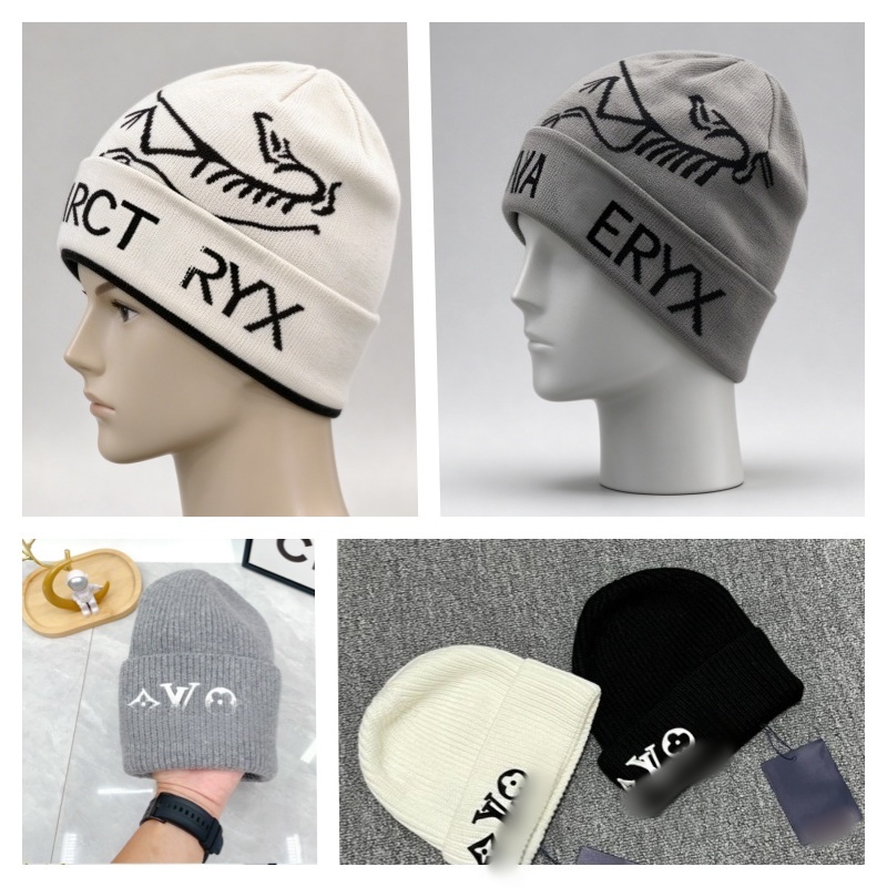 Women Men Classic beanie designer wool hat luxury cashmere hat embroidered ancient bird pattern street fashion brand arc beanie autumn and winter wa