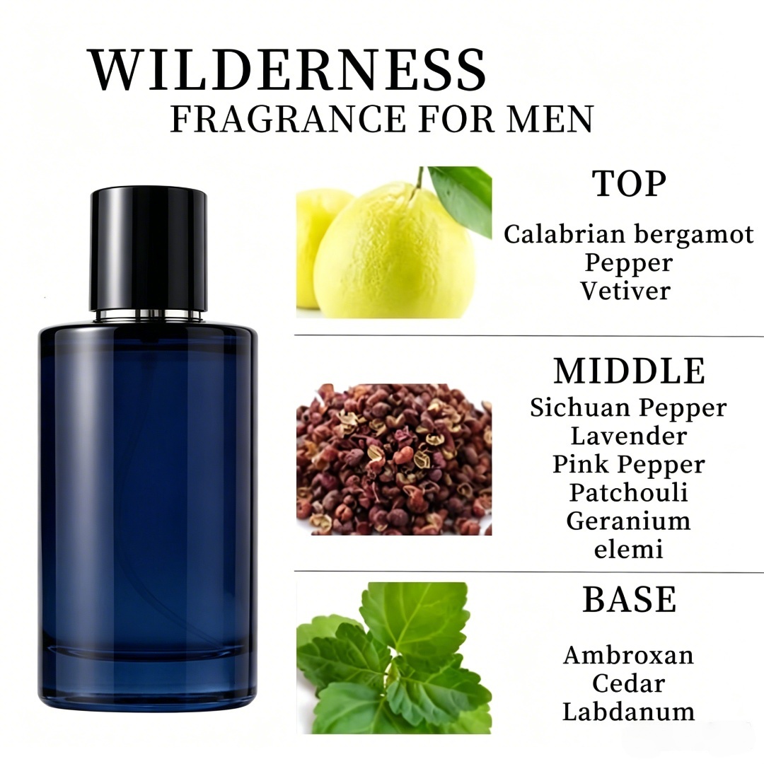 Designer Perfume Mens Cologne Womens Fragrance Aftershave Luxury Unisex 100ml EDP Long Lasting High Sillage Wood Note US Stock Fast Ship