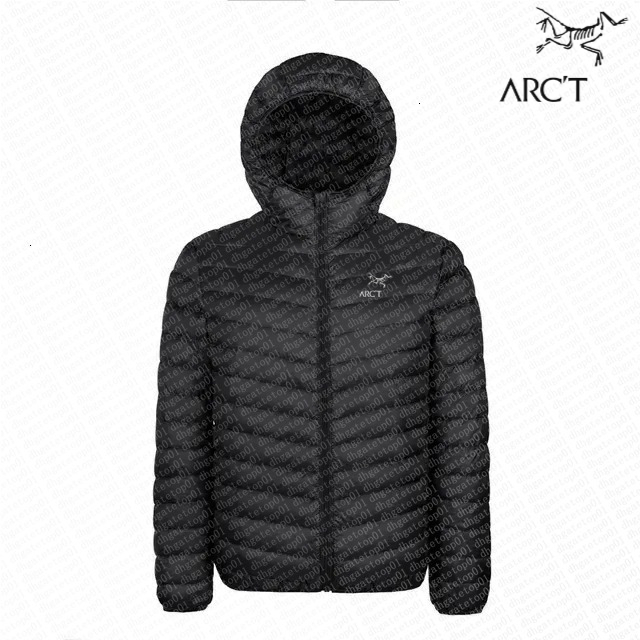 Arctirix Jas Heren Arc Puffer Winterjassen Geïsoleerde Arcterity Hoodie Jas Outdoor Warm Winddicht Casual Lichtgewicht Puffer Jas voor Heren 2026 FW