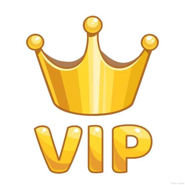 wholesale VIP customers customize exclusive secure payment links