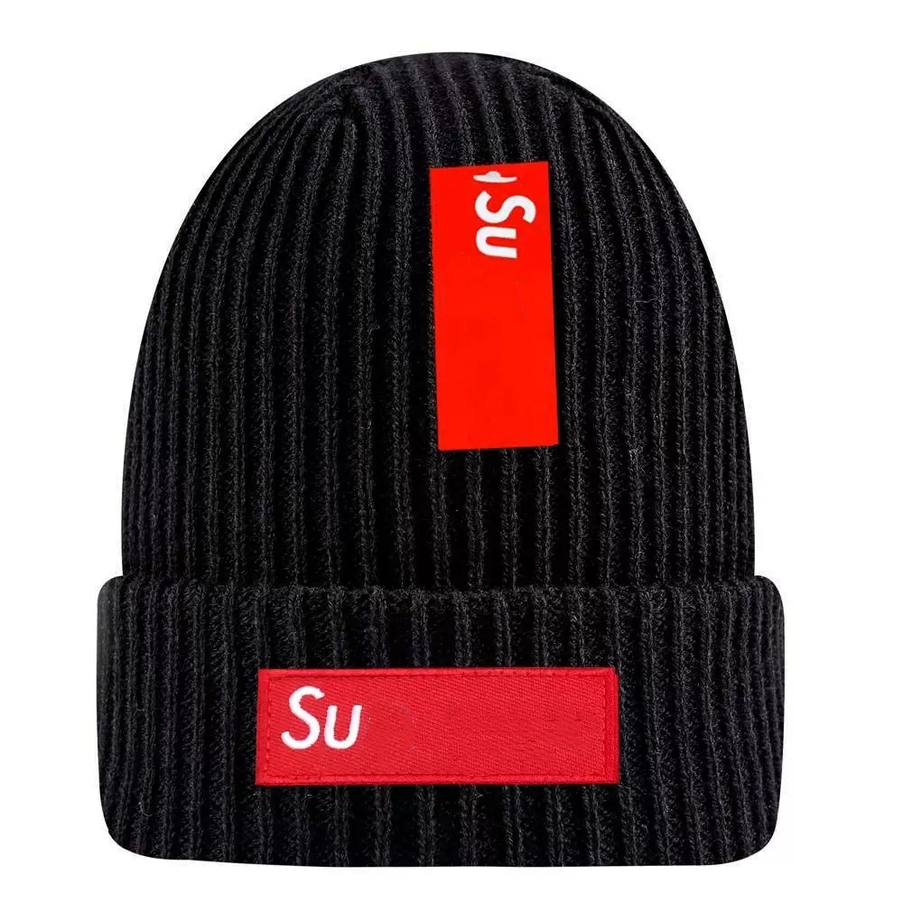 Bonnet Beanie Winter Hat Designer Beanie Autumn Winter Wool Knitted High Quality Threaded Cashmere Hat Classic Embroidery Pattern Needlework ing ver