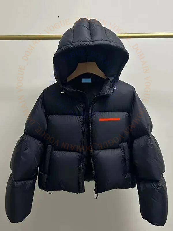 Fashion Inverted Triangle Sign Womens Puffer Jacket Inverted Triangle Sign Designer Lady Slim Jacket Down Windbreaker Short Winter Designer Coat Wom