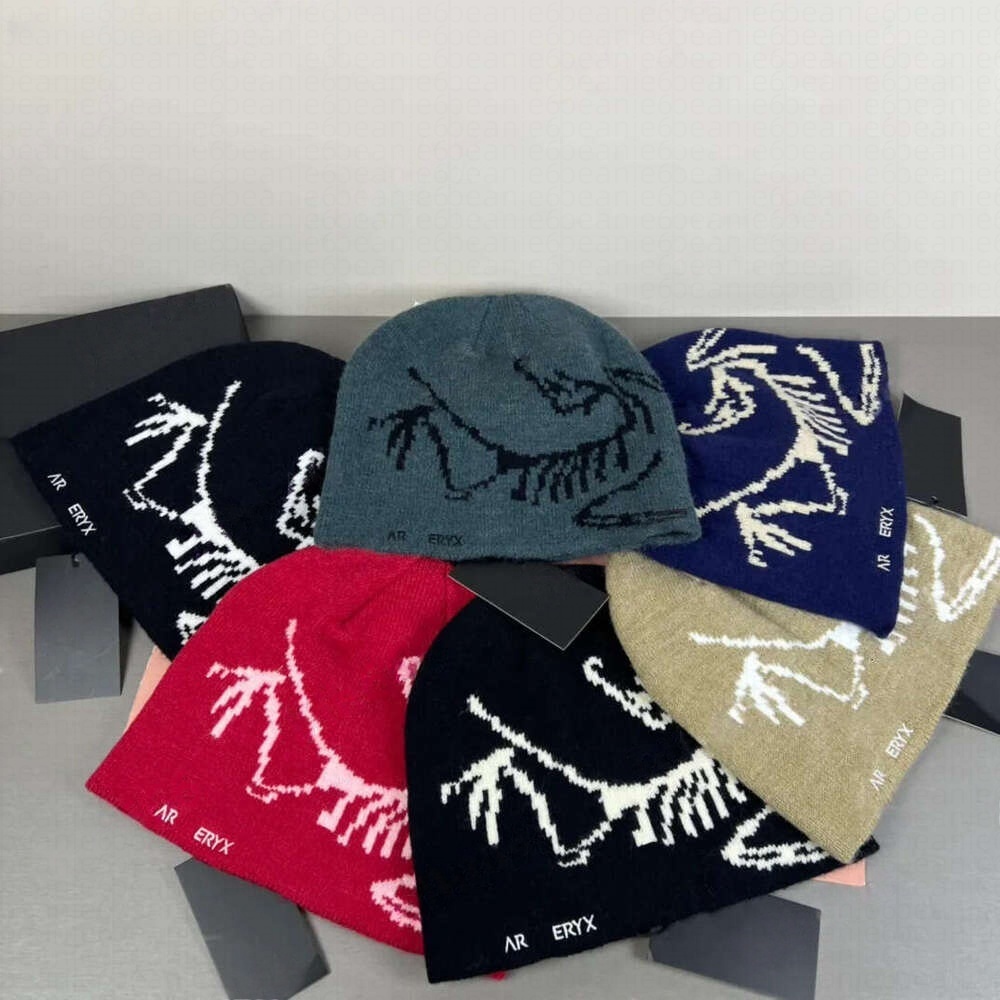 designer wool luxury cashmere hat embroidered ancient bird pattern street fashion brand arc beanie autumn and winter warm ski hats
