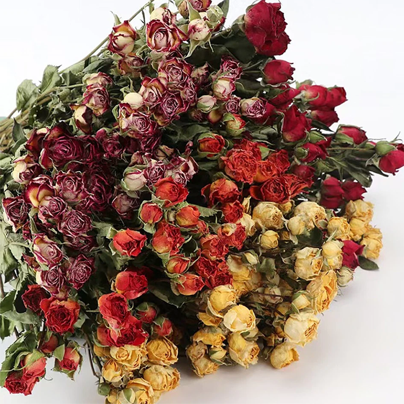 25-30 Heads Dried Natural Real Multiple Heads Roses Flowers Bouquets Real Roses for Wedding Modern Home Vase Filler Farmhouse Coffee Table Office-image-1091487694