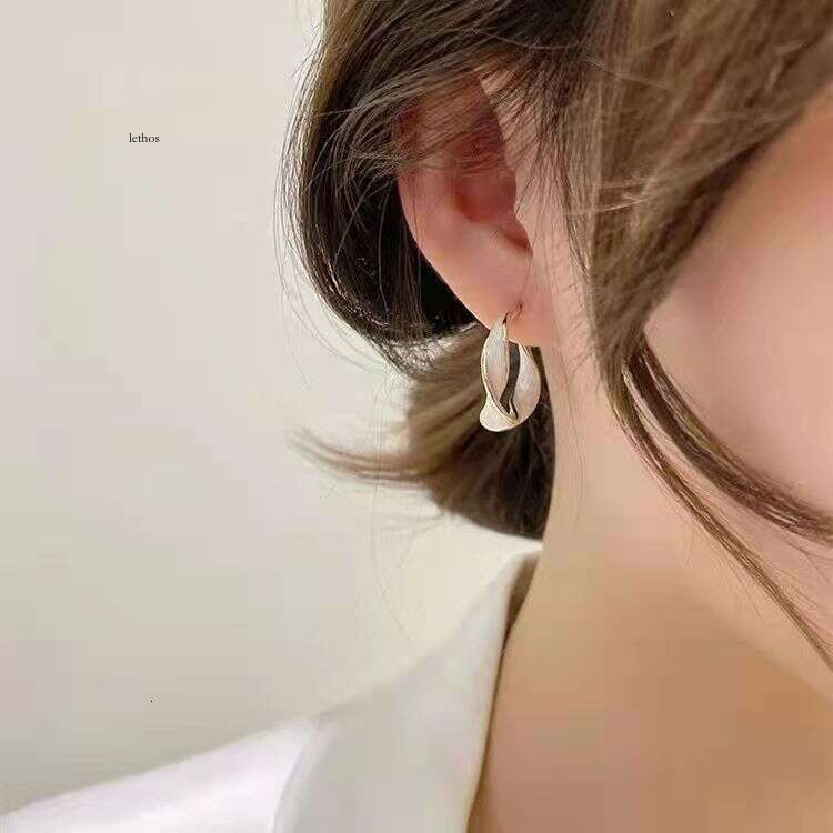 French-style niche earrings, Korean chic, popular online, 2026 new trendy women's summer light luxury studs