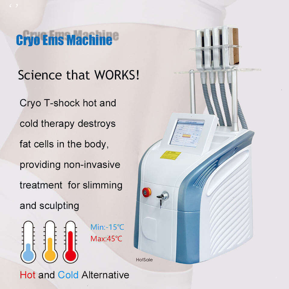 Ace Professional 4 Cryo Skin Ems RF Slimming Fat Reduce Machine Non-Invasive Criolipolysis Body Shape System Cellulite Removal Fat Freeze Equipment