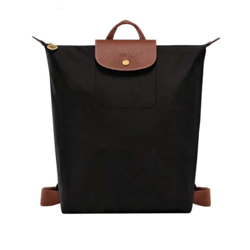 Designer Style Women Nylon Backpack Large Capacity Foldable Water Resistant Luxury Casual Travel Rucksack Lightweight Commute School Shopping Should