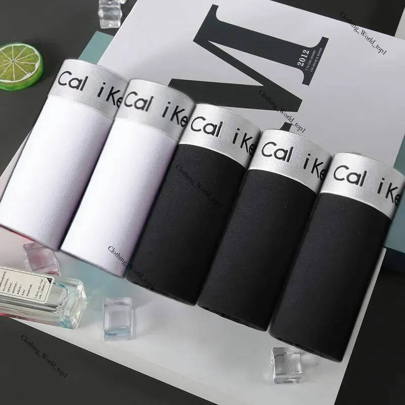 5Pcs Set Long Leg Boxer Shorts Cotton Male Underpants For Men Sexy Homme Boxershorts Box Panties Slip Calvin Hot a1f