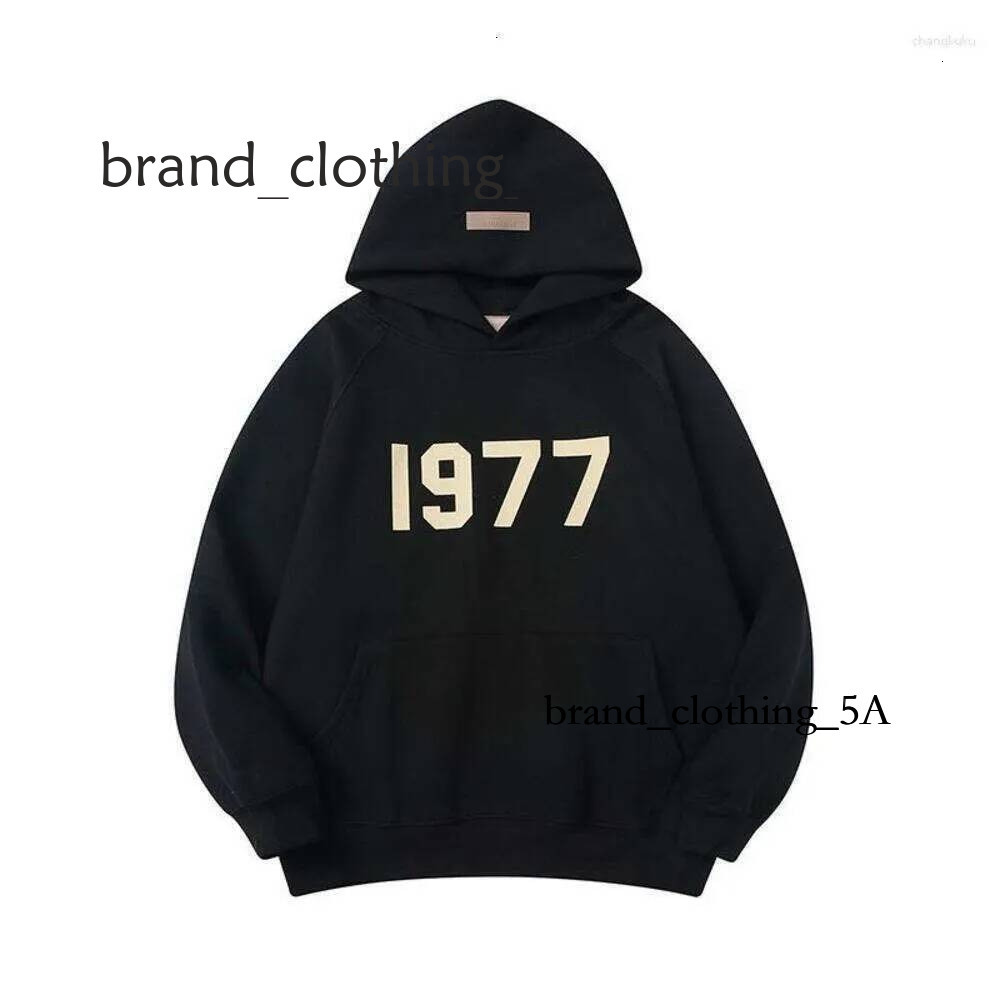Designer Essential Hoodies Designer Trendy Street Wear Esss 1977 Hoody Classic 3D Letter Print Loose Casual Jogging Essentialsasy Tracksuit Sweatshi