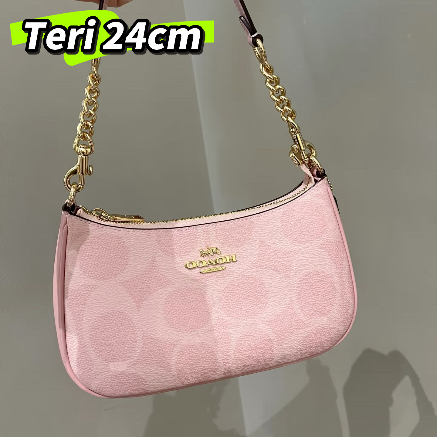 Correct Emblem TOP Quality teri shoulder bag Designer Bags 2026 Trends tabby bag crossbady bag luxury purse Classic Old Flower bag Large Capacity Co