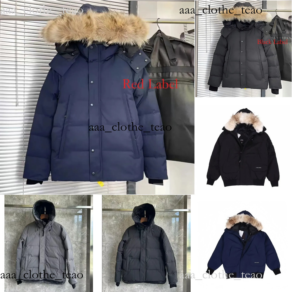 2026 AAA Designer Canadaness Gooceness Puffer Jacket Fashion Winter Mens Brand Hooded Long Sleeve Thick Duck Canada Down Jacket Womens Winter Coat J
