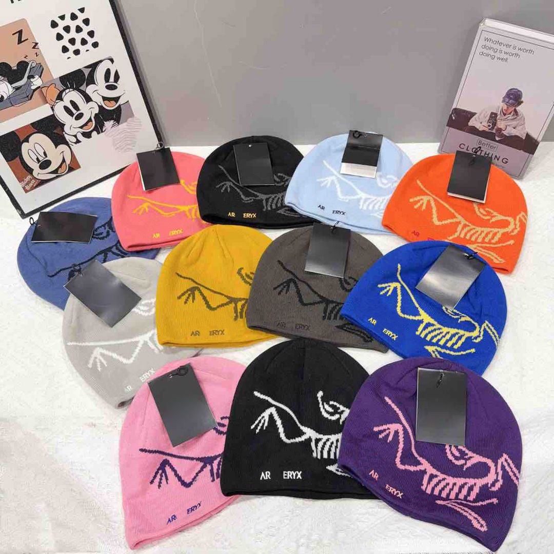 Classique Designer Laine Cachemire Arc Bonnet Toque Oiseau Ancien Brodé Chapeau Tricoté Style De Rue Unisexe Automne Hiver Chaud Ski Cadeau Casqu