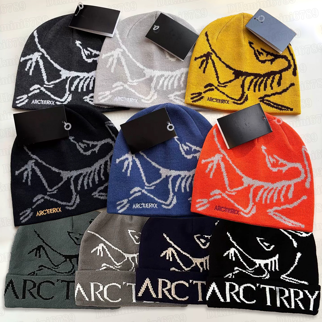 Classic beanie designer wool hat luxury cashmere hat embroidered ancient bird pattern street fashion brand arc beanie GROTO TOQUE autumn and wint