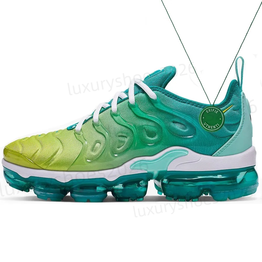 2026 TN Plus running shoes Geometric Black White Pink Rise Spirit teal Grid Printn mens womens designer sneakers 36-45 x9