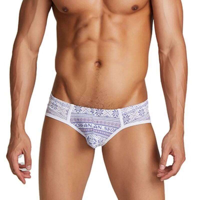 Sexy Men's Underwear Ultra Thin Transparent Briefs Bikini Shorts Gay Mesh Underpants Print Swimming Trunks Breathable Swim Suit S26-image-1097074773
