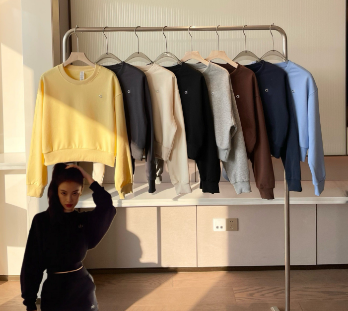 Neat Yoga Gym Set Aloismness Women Shorts Sweatshirt Pullover Jacket Set Casual Fashion Designer 3D Silver Logo Aloismness Sets Women Clothes Jog-image-1096655699