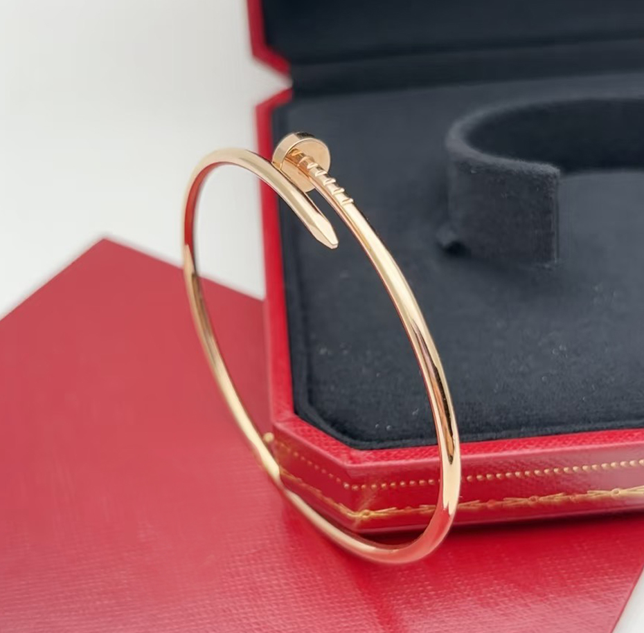Bracelet thin Bracelets designer for women bangles 18K rose gold silver black nail bracelet Designer Jewelry personalized bangle Titanium Steel-image-1105829442