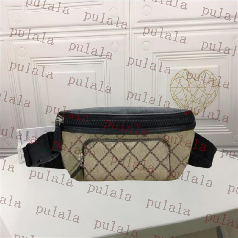 Fashion Designer Waist Bags Mens Womens Bumbag Cross Body Bag Luxury belt bag Multi-Pocket Temperament chest Bag Fanny Pack Designer Messenger Bag p