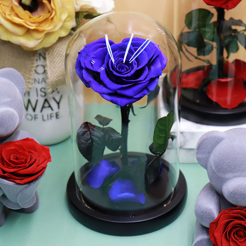 Preserved Real Rose Flower in 14*23cm Glass Dome Gifts for Valentine Anniversary Thanksgiving Mothers Day Birthday Gifts for Wife Girlfriend Wome-image-1097886969