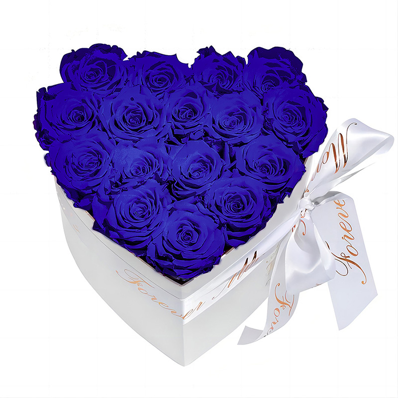 16 Pcs Presesrved Rose in Heart Shape Box withBirthday Gifts for Women Wife Mothers Day Valentines Anniversary Thanksgiving Flowers for Mom Home-image-1098003955