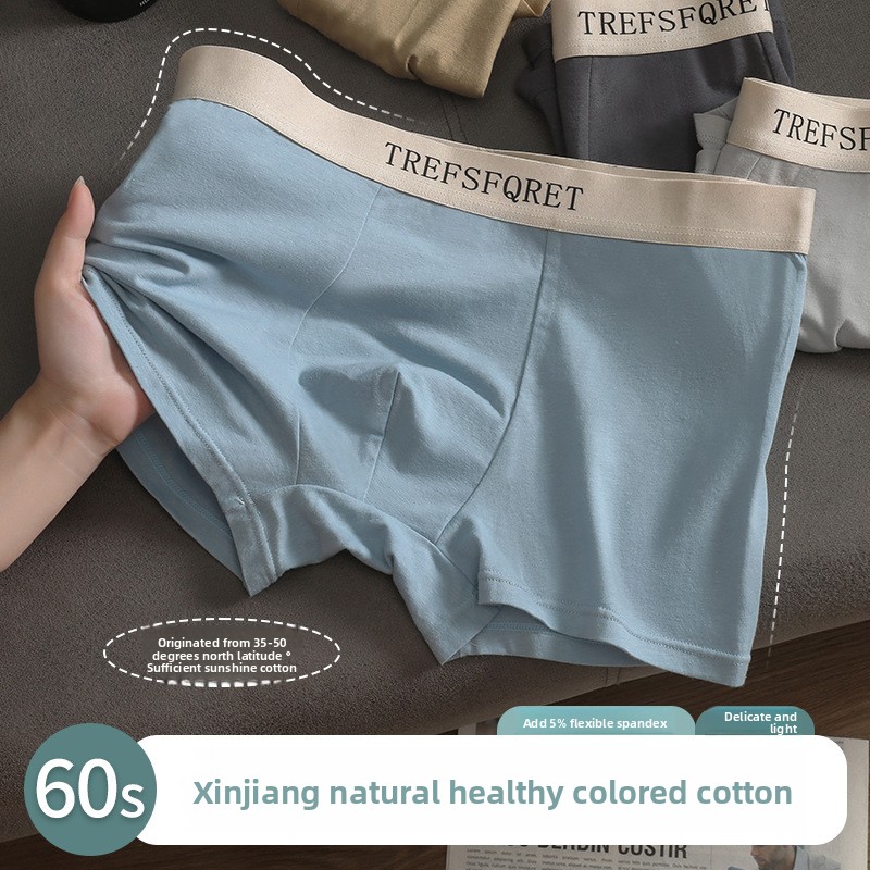 Everyday Men's Antibacterial Cotton Boxers Breathable Underpants Underwear For Men Panties-image-1098643675