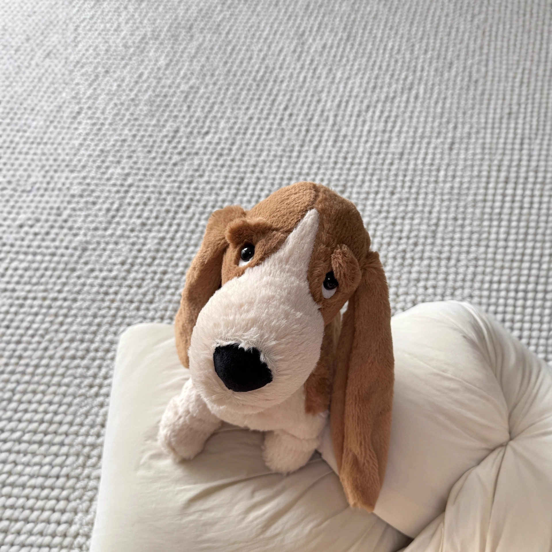 UK JE new Randall Basset Spaniel plush toy soothing doll doll doll pet-image-1098124096