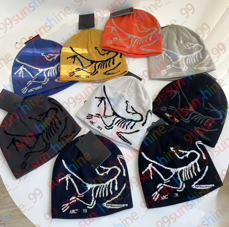Winter arc Beanie women's knit hat Brand hat casquette Luxury Cashmere hat designer Beanie cap Men's sports hat Ski warm hat