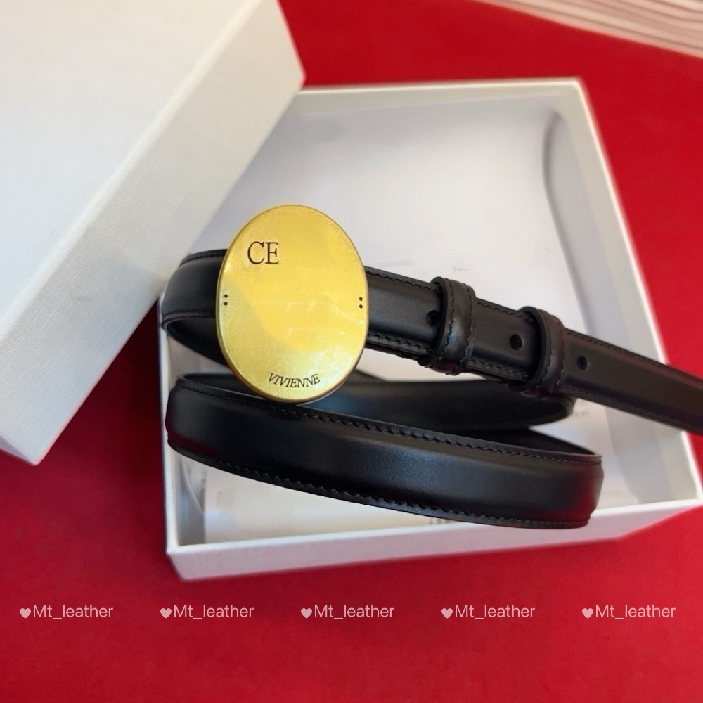 Designer Belt Women belt Hight Quty Real Leather ceinture luxe femme width 25cm Collar Buckle strap with jeans skirts coats with gift box women luxu